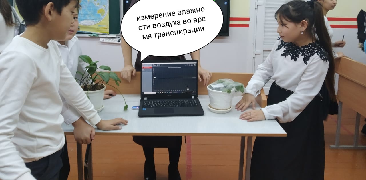 Транспирация